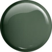 gel-polish-lakier-hybrydowy-dusty-green-8-ml-209-victoria-vynn-kolor.jpg