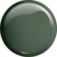 gel-polish-lakier-hybrydowy-dusty-green-8-ml-209-victoria-vynn-kolor.jpg